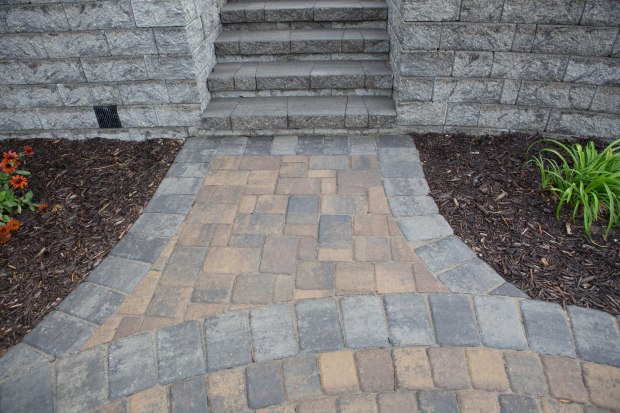 leading edge landscapes13.jpg