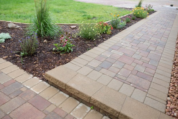 leading edge landscapes9.jpg